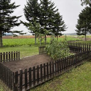 運動会延期のお知らせ②