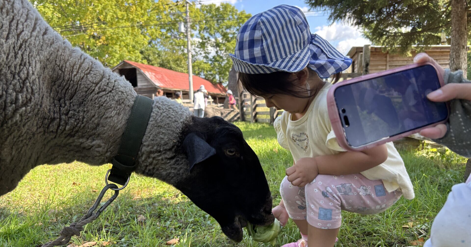 あきばれのもとで