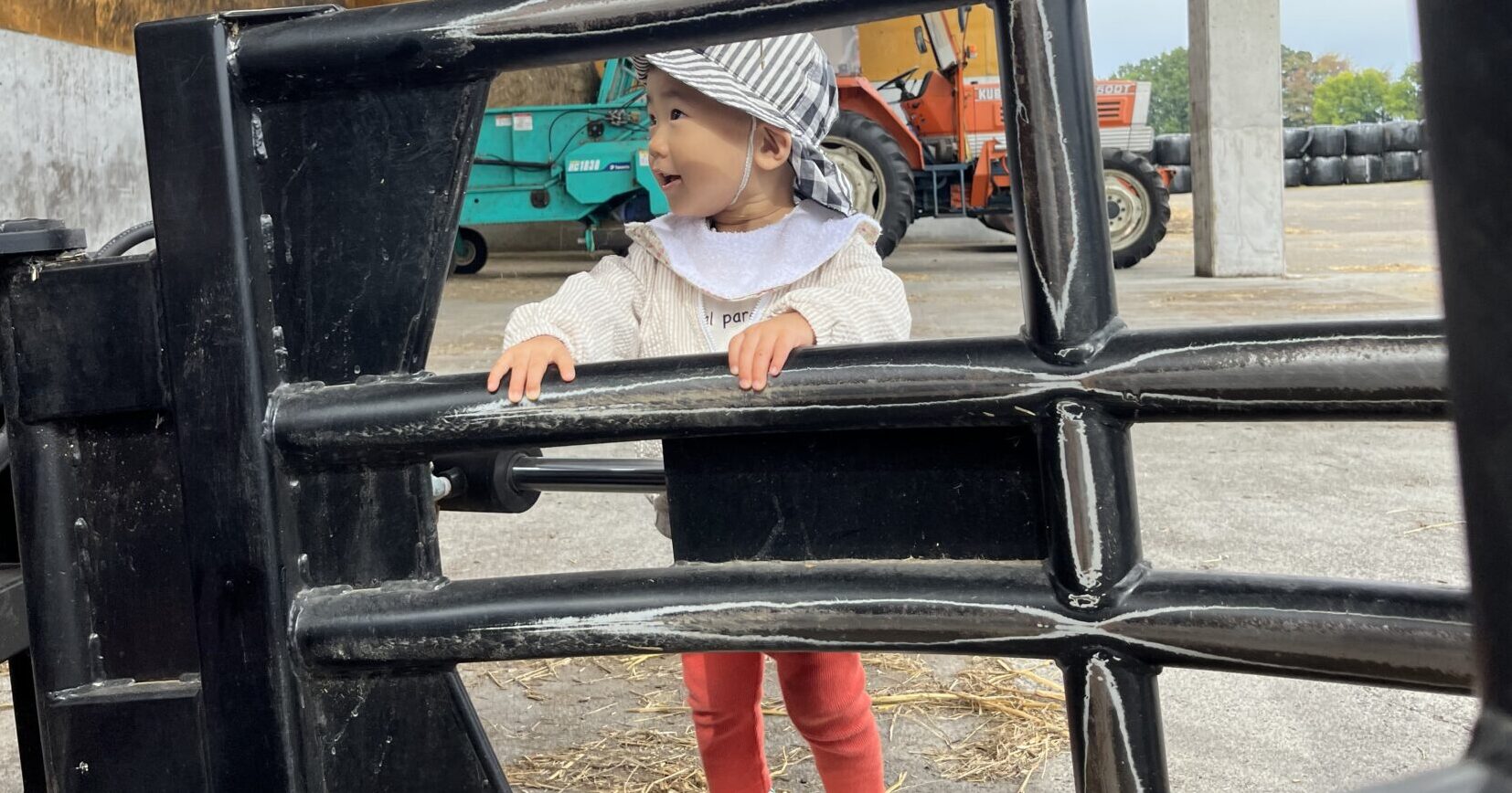 クワガタさんありがとう