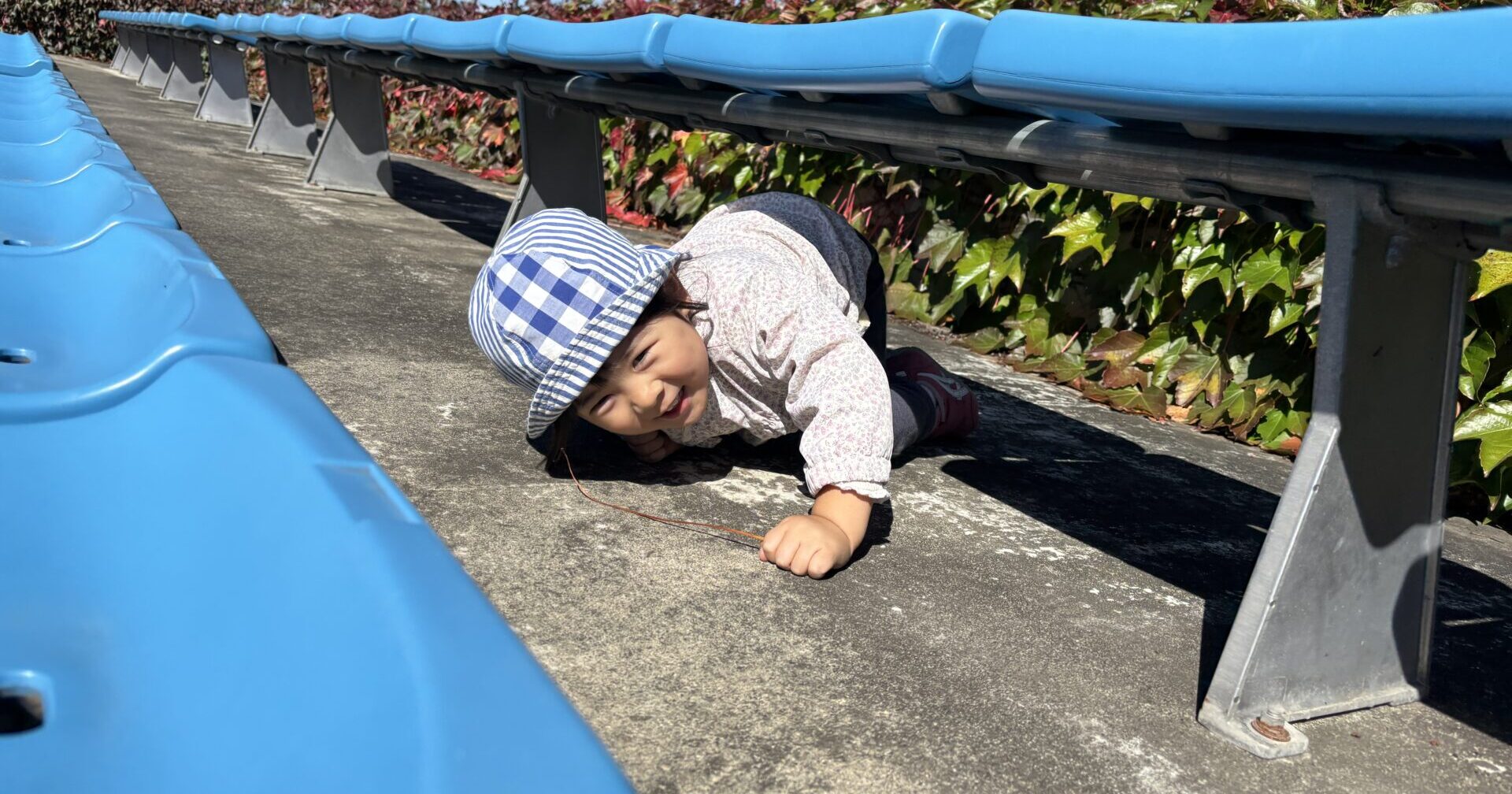 おもいきりあそぼう