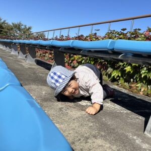 おもいきりあそぼう