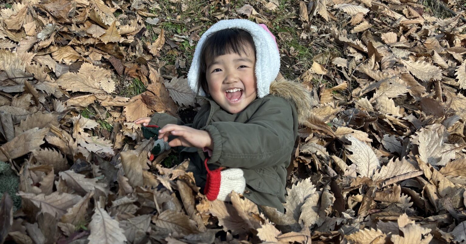 ひさしぶりのおてんき