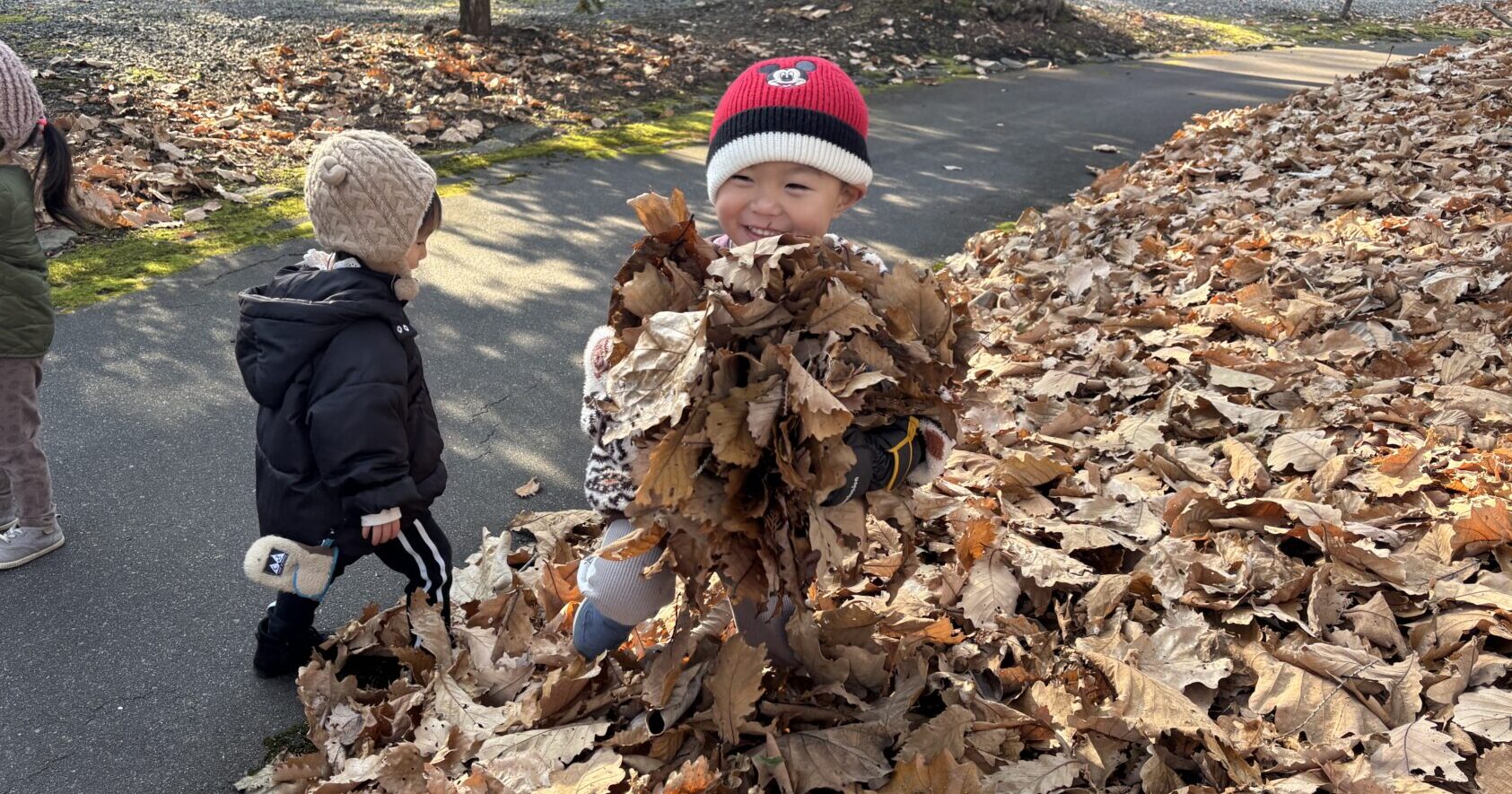 おさんぽびより