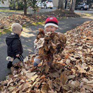 おさんぽびより