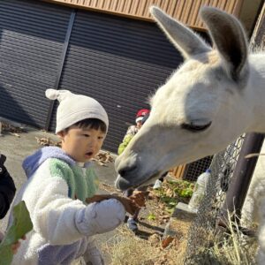 うしさんこんにちは&しつないあそび