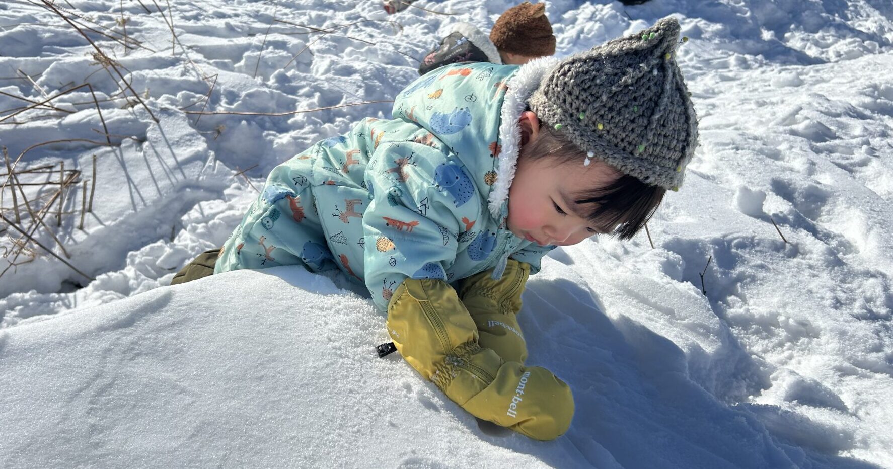 そりすべり・おしりすべりをたのしんで