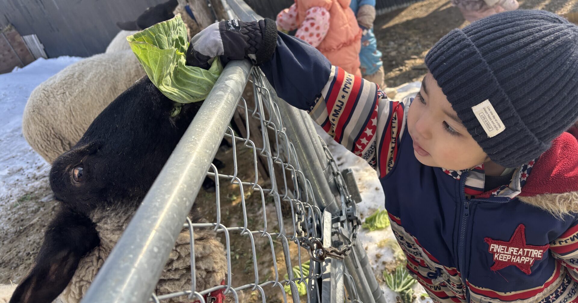 しつないあそび＆ひだまりのもりへ