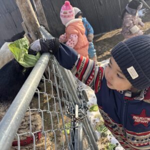 しつないあそび＆ひだまりのもりへ