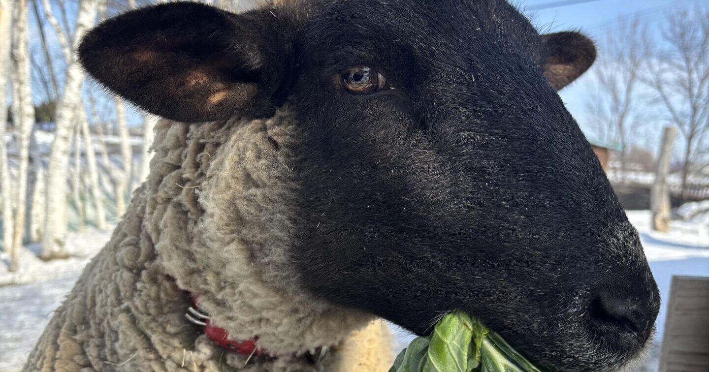 大切なお知らせ