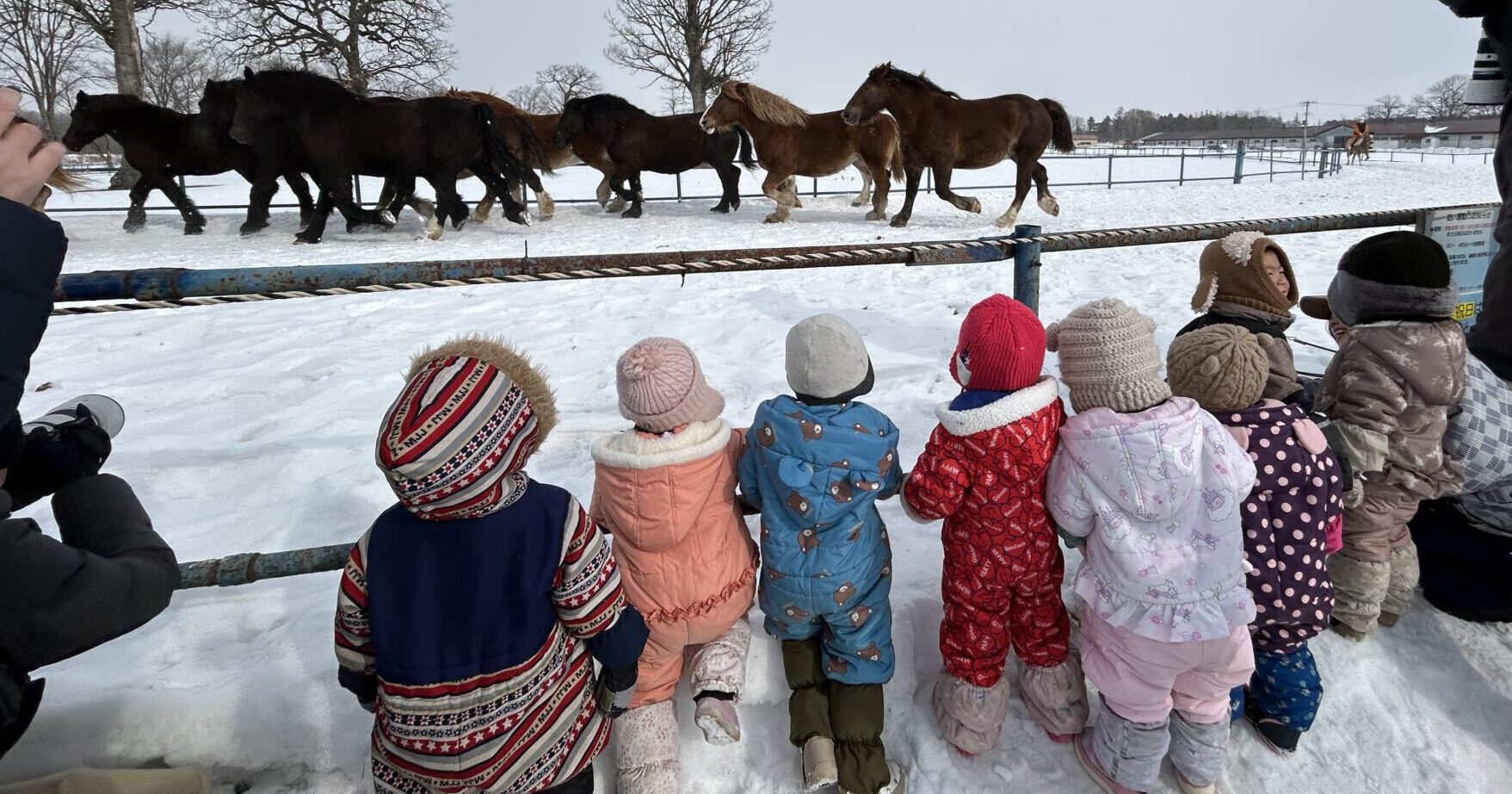 ２さいうまおいけんがく