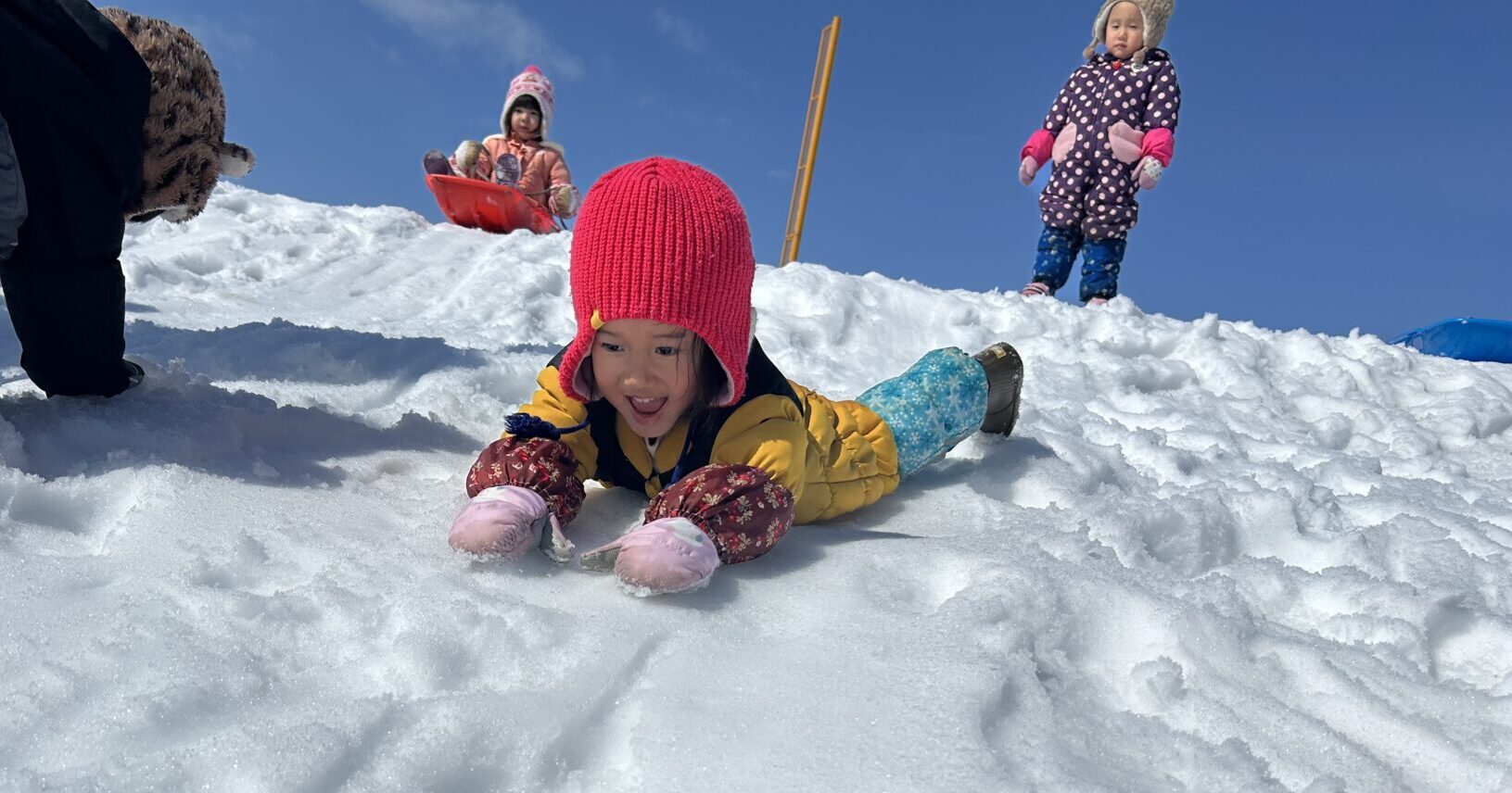 あたたかいいちにち